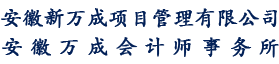 安徽新万成项目管理有限公司
